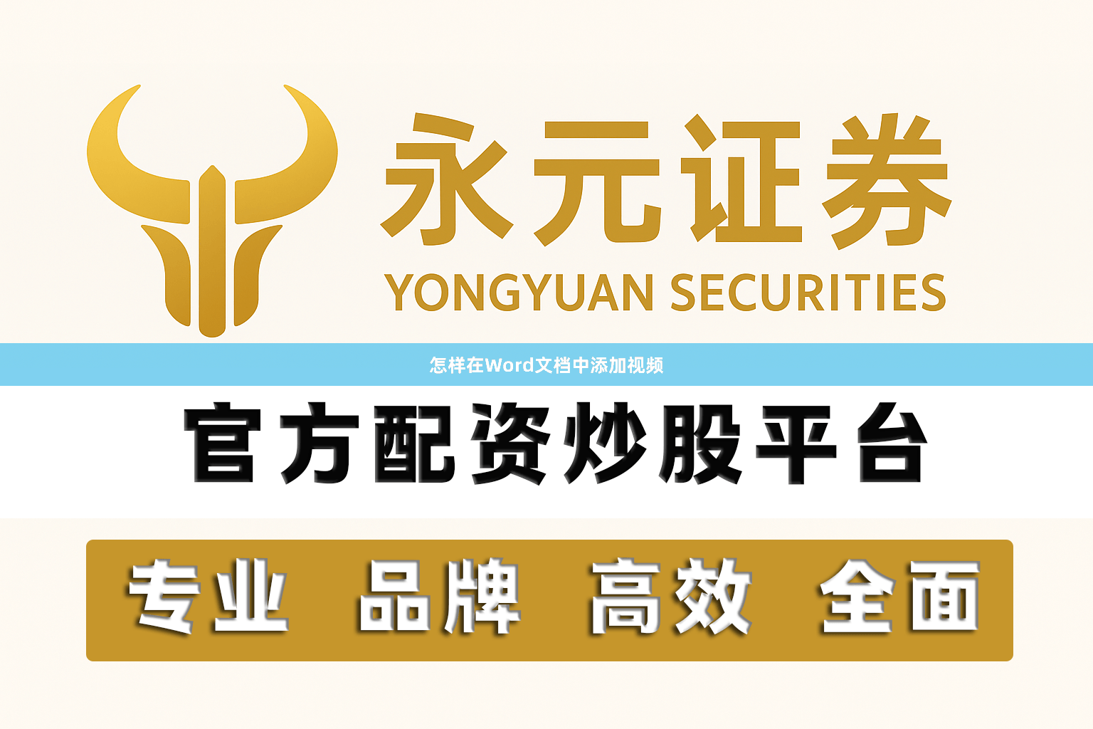 怎样在Word文档中添加视频