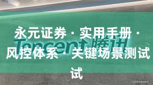 永元证券 · 实用手册 · 风控体系 · 关键场景测试