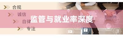 监管与就业率深度