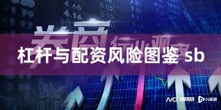杠杆与配资风险图鉴 sb