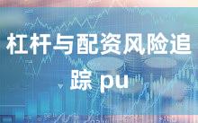 杠杆与配资风险追踪 pu