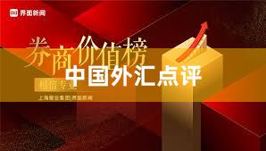 中国外汇点评