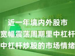 近一年境内外股市在当前宽幅震荡周期里中杠杆炒股的市场情绪案例