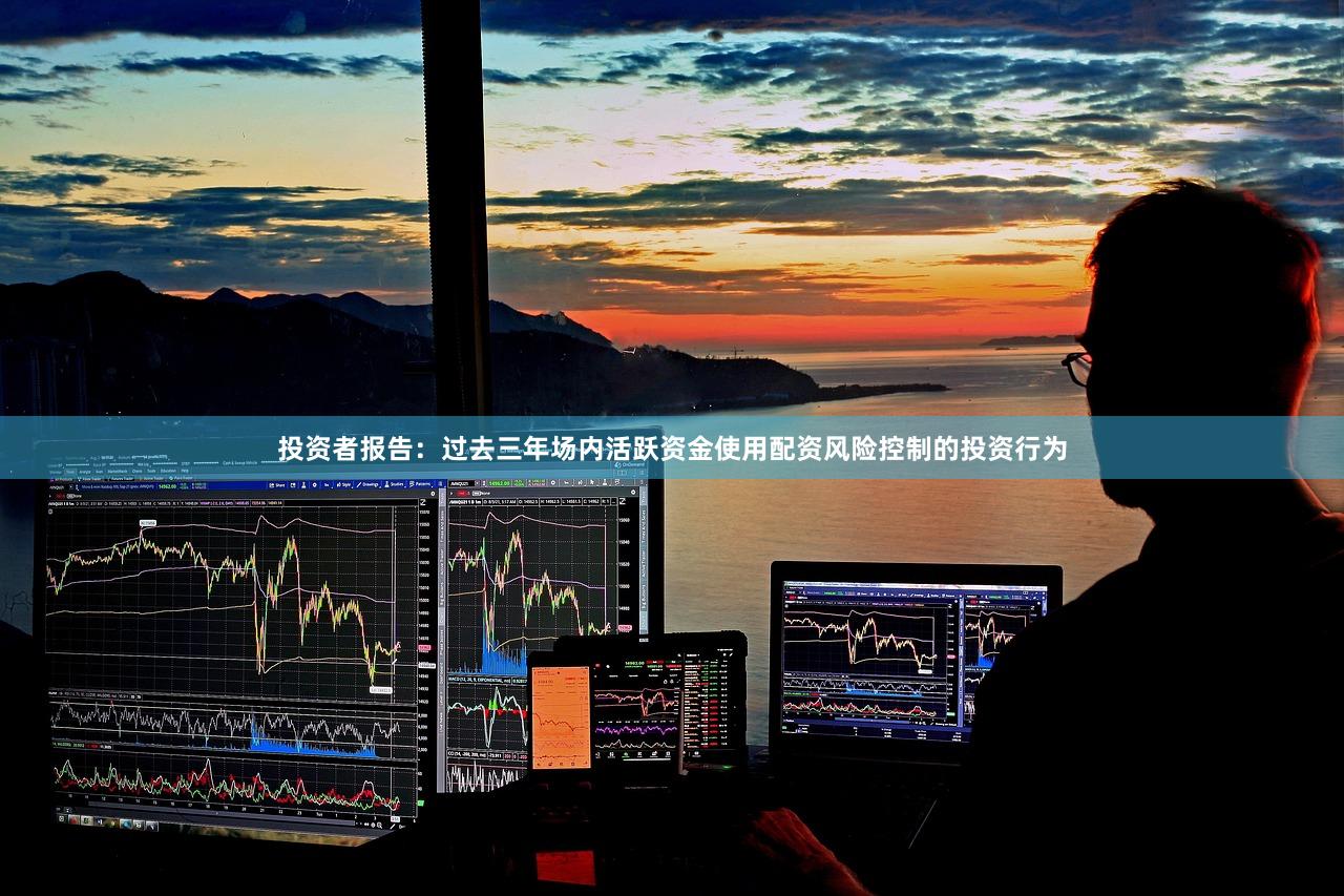 投资者报告：过去三年场内活跃资金使用配资风险控制的投资行为
